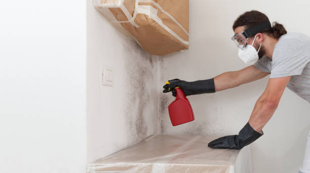 Professional Black Mold Removal technician working in Roosevelt, NJ