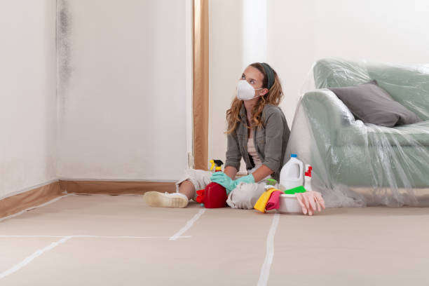 Reliable Mold Cleanup contractor in Roosevelt, NJ by Cheap Mold Removal